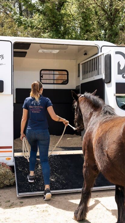 Le transport de votre cheval par une professionnelle équin depuis 2013