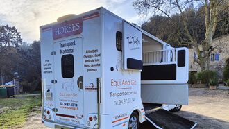 Le transport de votre cheval par une professionnelle équin depuis 2013